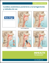 Anatomical Training Aid - Spanish