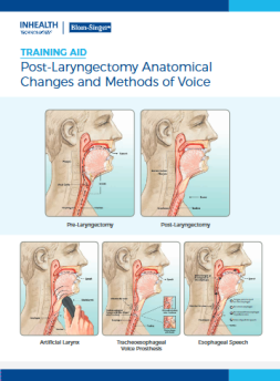 Anatomical Aid