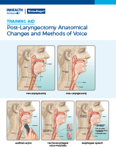 Anatomical Training Aid - English